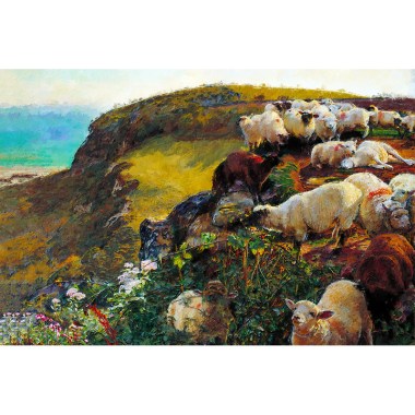 schapen schilderij