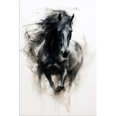 Paard in zwart wit