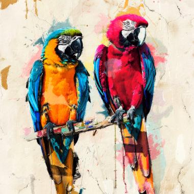 papegaaien schilderij