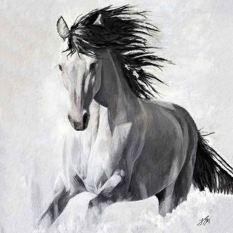 paard zwart wit schilderij 