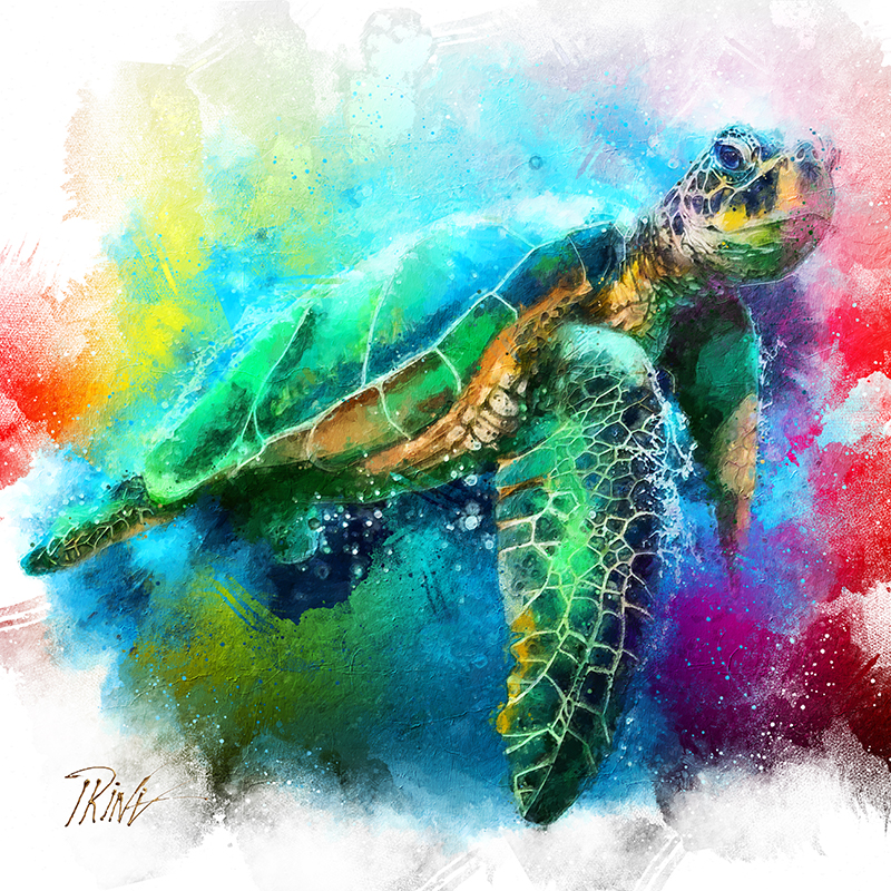 Schildpad in kleur schilderij kopen online